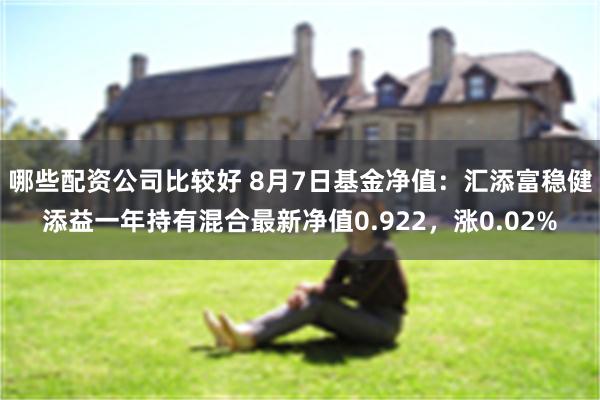 哪些配资公司比较好 8月7日基金净值：汇添富稳健添益一年持有混合最新净值0.922，涨0.02%