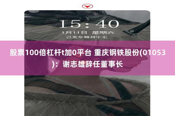 股票100倍杠杆t加0平台 重庆钢铁股份(01053)：谢志雄辞任董事长