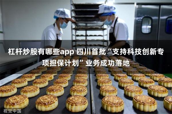 杠杆炒股有哪些app 四川首批“支持科技创新专项担保计划”业务成功落地