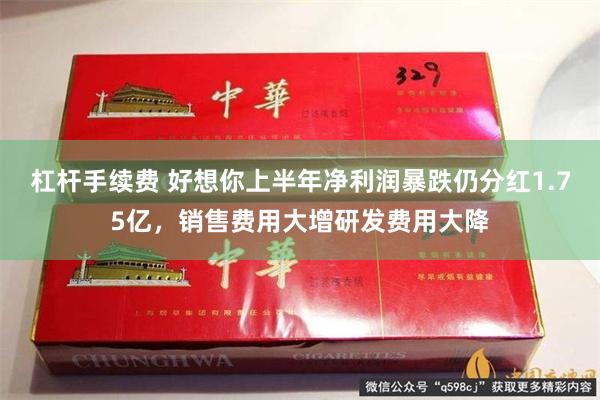 杠杆手续费 好想你上半年净利润暴跌仍分红1.75亿，销售费用大增研发费用大降