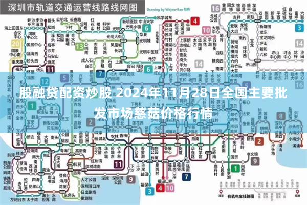 股融贷配资炒股 2024年11月28日全国主要批发市场慈菇价格行情