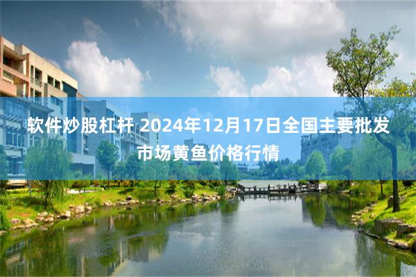 软件炒股杠杆 2024年12月17日全国主要批发市场黄鱼价格行情