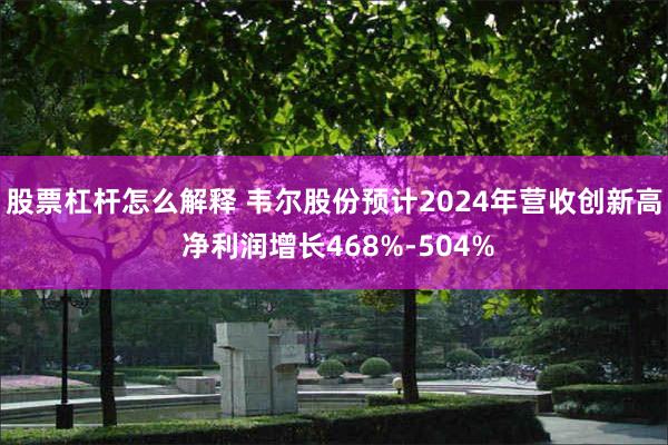 股票杠杆怎么解释 韦尔股份预计2024年营收创新高 净利润增长468%-504%