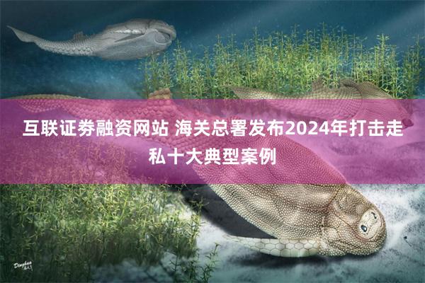 互联证劵融资网站 海关总署发布2024年打击走私十大典型案例