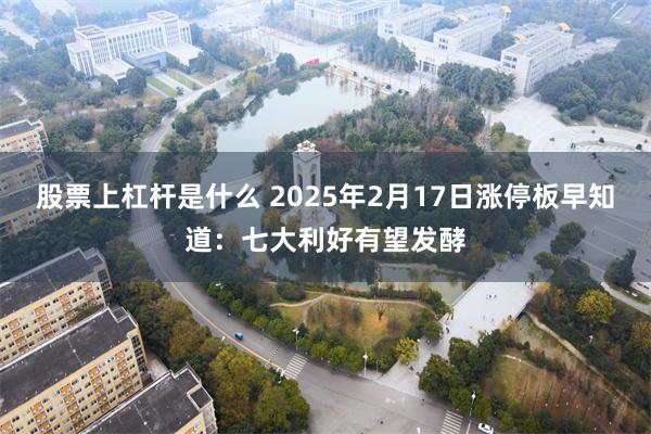 股票上杠杆是什么 2025年2月17日涨停板早知道：七大利好有望发酵